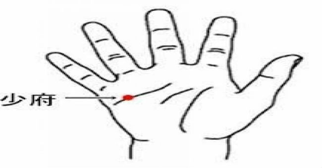 少府穴