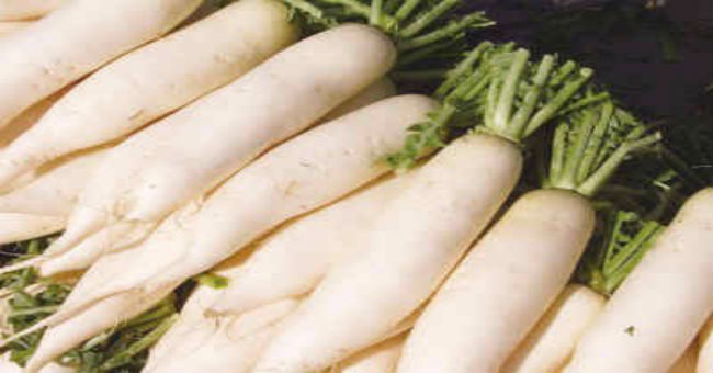 蘿蔔